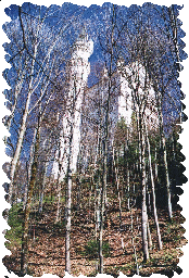 Castle behind Naked Trees