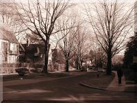 Click to enlarge 'Tree-lined Avenue (Sepia).jpg'