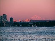 Rosy Mt. Baker