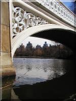 Click to enlarge 'Skyline under Bow Bridge.jpg'